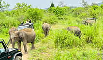 Foto 3 Ein-Tages-Tour in Sigiriya