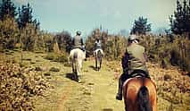 Photo 3 Private Horse Riding Tour in Madeira