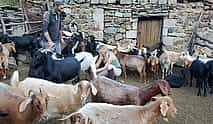 Photo 3 2-day Alpine Meadow Horseback Riding Tour in Armenia