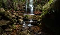 Foto 3 Ganztägige Wandertour zu den Seen von Madeira