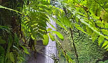 Photo 4 Bali Hidden Gems Tour
