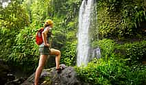 Foto 4 Teleférico RainForest, crucero por el río y paseo por la naturaleza: Eco Tour