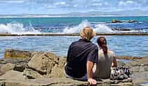 Photo 3 Private Shore Whale Watching Tour to Hermanus from Cape Town
