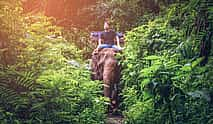 Photo 3 Bangkok - Kanchanaburi: River Kwai with Elephant Riding and Bamboo Rafting