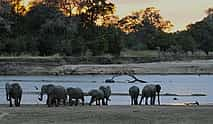 Photo 4 South Luangwa Private Night Safari