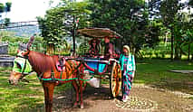 Photo 3 Borobudur, Village Tour and Parmbanan Temple