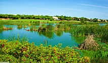 Foto 4 Excursión en Segway por el Parque Natural de Ria Formosa