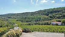 Photo 3 Northern Lisbon Wine Tasting
