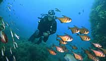Photo 3 Dive Hurghada Open Water Course