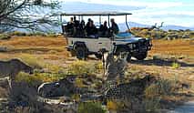 Photo 3 For Couples: Overnight Stay at Tankwa Chalet with Complimentary Safaris