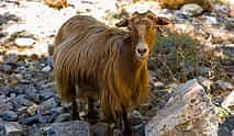 Photo 4 Imbros Gorge from Chania