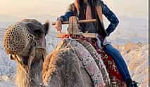 Photo 4 Camel Tour at Any Time