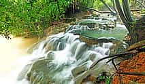 Foto 3 Krabi: Jungle Tour with Emerald Pool, Hot Spring Waterfall and Tiger Cave Temple