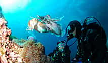 Photo 4 Dive Hurghada Open Water Course