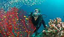 Foto 4 Buceo diario en Hurghada