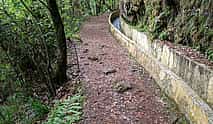 Photo 4 Ribeiro Frio, Portela Full-day Walking Tour