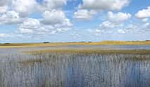 Photo 3 Everglades - River "Grass"