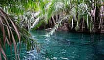 Photo 4 Kikuletwa (Chemka) Hot Springs Full-day Tour from Arusha