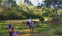 Photo 3 Private Tour: Žabljak Crnojevića Horse Riding Tour