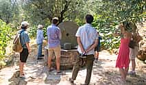 Photo 3 Pizza and Cheese Experience with Wine, Olive Oil and Limoncello Tasting at a Local Farm