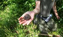 Photo 3 Cyprus Truffle Tour