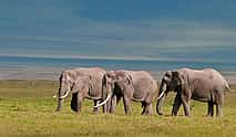 Photo 4 Full-day Ngorongoro Crater Tour