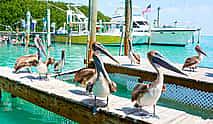 Foto 3 Excursión de un día en Cayo Hueso con paseo en barco y barra libre gratuita