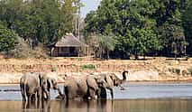 Photo 4 South Luangwa Morning Safari