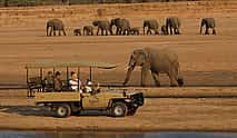 Photo 3 South Luangwa Morning Safari