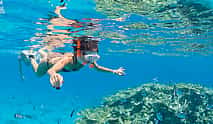 Photo 4 White Island and Ras Mohammed National Park Snorkeling Boat Trip