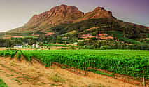 Foto 4 Excursión de un día a los viñedos de Cape Winelands