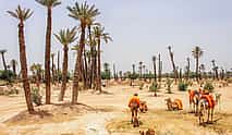 صورة 3 Palm Grove Marrakech Half-day Quad Ride