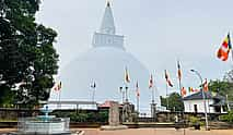 Фото 4 One Day Tour to Historical City Anuradhapura from Colombo