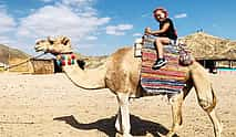 Foto 4 3-hour Desert Safari Quad Bike and Camel Ride in Hurghada