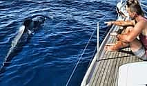 Foto 4 Tenerife: Experiencia de avistamiento de ballenas y delfines en régimen de Todo Incluido Premium