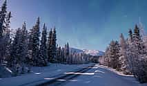 Foto 3 Raquetas de nieve en el Parque Nacional (Pallas-Yllästunturi)