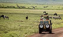 Foto 3 Excursión de un día al cráter del Ngorongoro desde Arusha