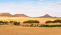Photo 4 Full-day Tour to Bahariya Oasis