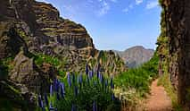 Photo 4 Madeira Peaks Full-day Walking Tour