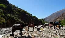 Photo 3 Horse Riding in Atlas Mountains