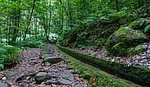 Photo 4 King's Levada, Hidden Corners Full-day Walking Tour