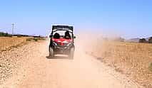 Foto 4 Excursión de medio día en buggy por el desierto y el palmeral