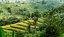 Photo 3 Bali Hidden Gems Tour