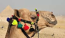 Photo 3 Giza Pyramids with Camel Ride Half-day Tour