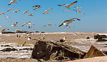 Photo 3 Essaouira Beach: Private Full-day Luxury Trip from Marrakesh