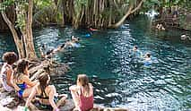 Foto 3 Excursión de un día a las cataratas de Materuni y las aguas termales de Kikuletwa