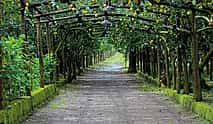 Photo 4 E-bike Tour in Sorrento with Limoncello Tasting