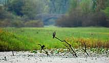 Foto 4 Vogelschutzgebiet und Wiege des montenegrinischen Weins