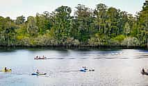 Photo 3 Mangrove Kayaking Adventure