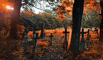 Photo 4 Psychiatric Hospital and Abandoned Cemetery Tour